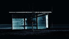 photo "***"
