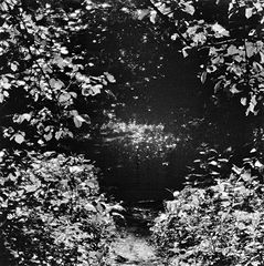 photo "***"