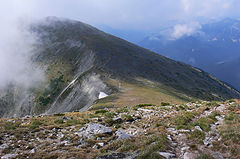 photo "***"