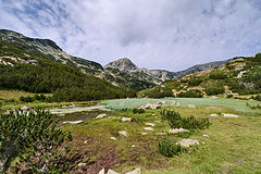 photo "***"
