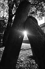 фото "Чёртов столб"