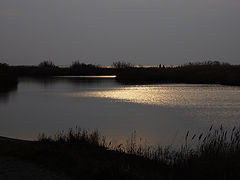 фото "Evening walk at the beach"