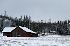 photo "***"
