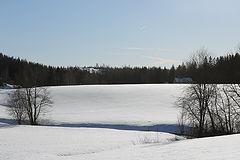 photo "Kytäjä"