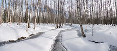 фото "Прогулка по ручью |2|"