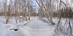 фото "Прогулка по ручью |3|"