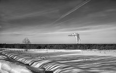 фото "Полосатая весна..."