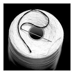 фото "black and white"