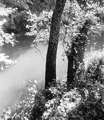 photo "***"