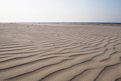 фото "Sand Waves"