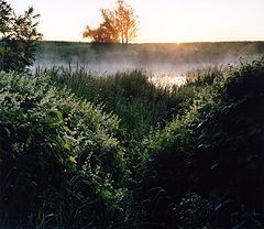 photo "***"