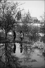 фото "Пара на Петршине"