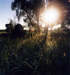photo "***"