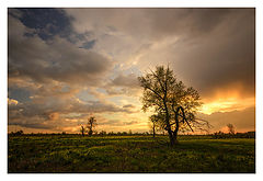 photo "***"