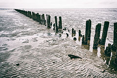 photo "***"