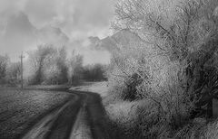 photo "***"