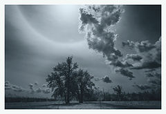 photo "***"