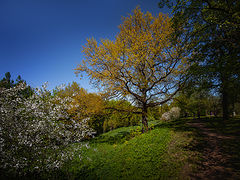 photo "***"