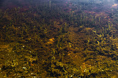 фото "..."