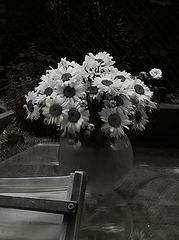 photo "***"