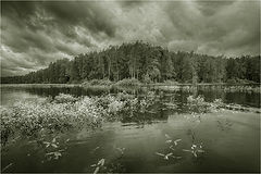 photo "***"