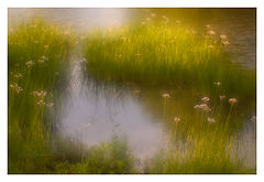 photo "***"