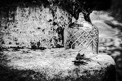 photo "Street Still Life"
