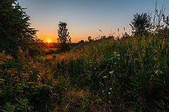 photo "***"