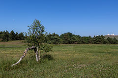 photo "***"