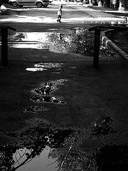 photo "***"