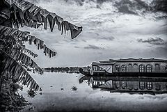 photo "On the River"