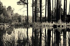 photo "***"