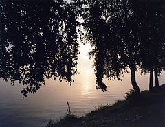 photo "***"