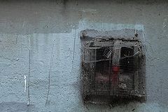 photo "***"
