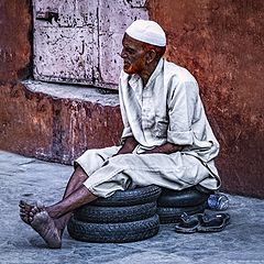 photo "Sage on motorcycle tires"