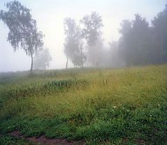 photo "***"