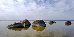 photo "Low tide"
