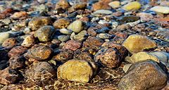 photo "coastal pebbles"