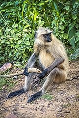 photo "What do You Want?"