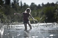 photo "На реке Покше блиэ д. Сумароково"