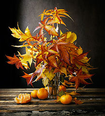 photo "orange"