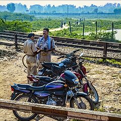 photo "Serious Conversation"