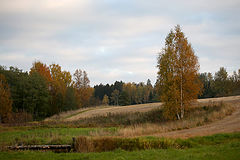 photo "***"