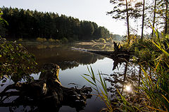 фото "Утренняя тишина"