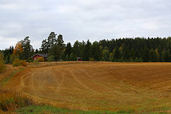 photo "***"