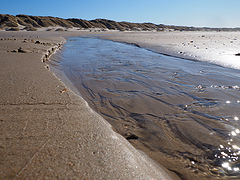 фото "Miniature River"