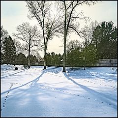 photo "Wintry 2"