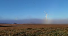 photo "... the morning fog, windmills and geese"