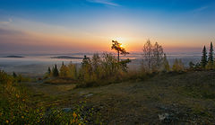 фото "Утренний свет"