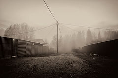 photo "***"